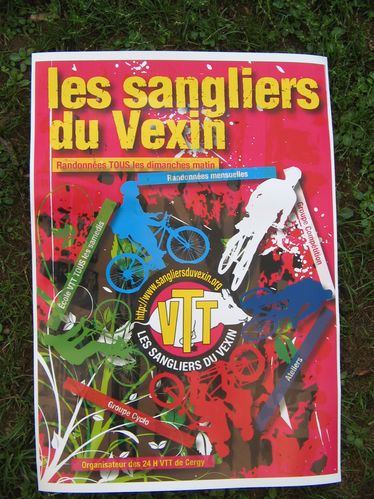 Sangliers du Vexin