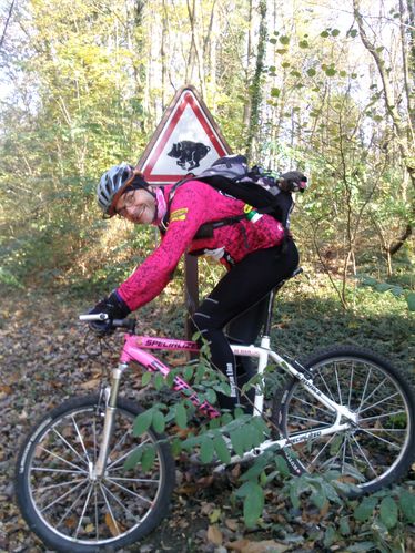 Attention danger sangliers