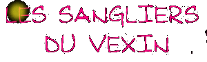 sangliersweb.gif